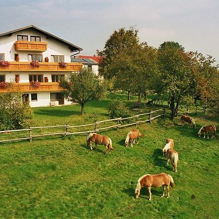 Ferienwohnung Biobauernhof Wolf-Hof Pressbaum Exterior foto