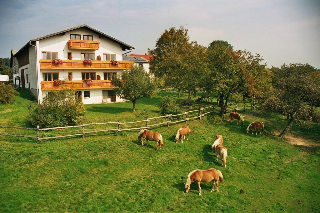 Ferienwohnung Biobauernhof Wolf-Hof Pressbaum Exterior foto